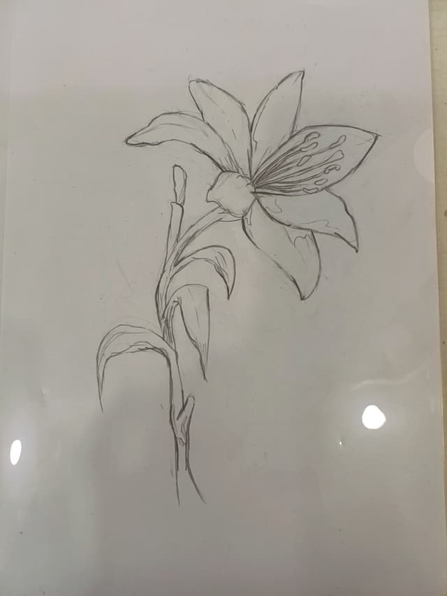 flower flower flower flower flower flower flower flower flower flower flower flower flower flower flower